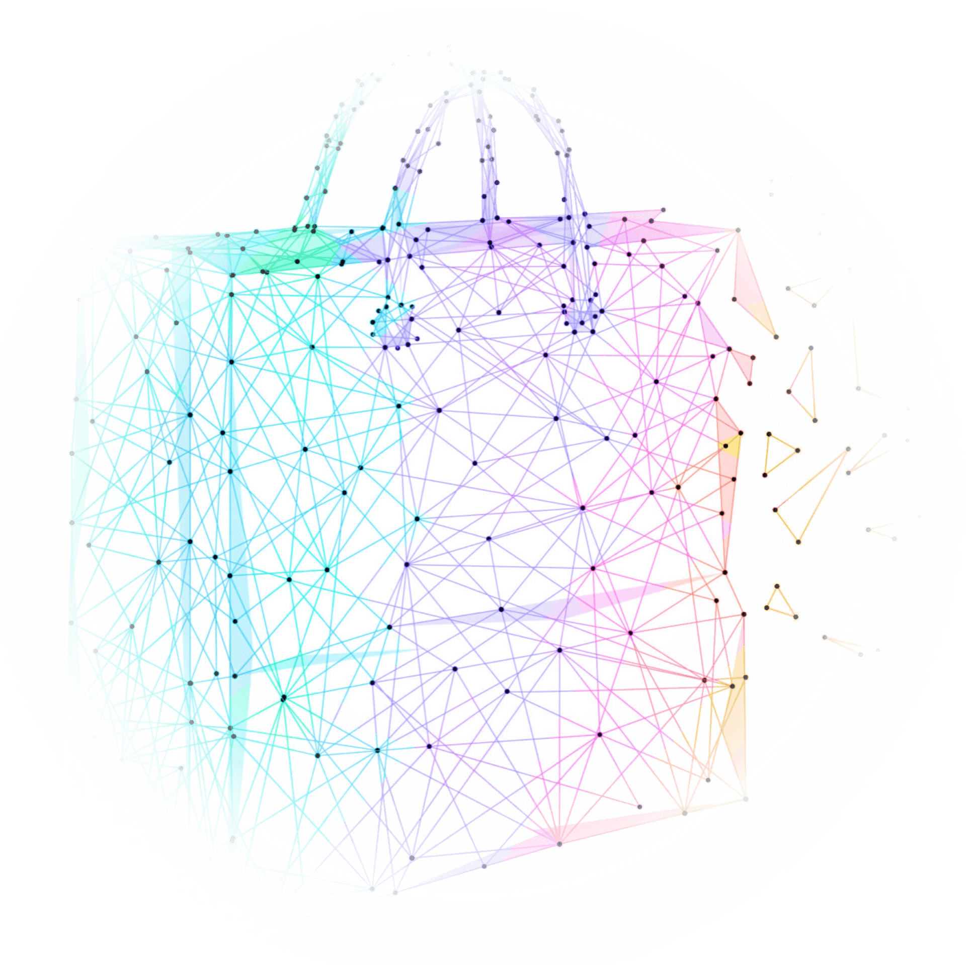 Shopping Bag
